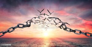 ChaiNbReAkS